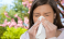 Алергичните към цветния прашец не се радват на цъфтежа